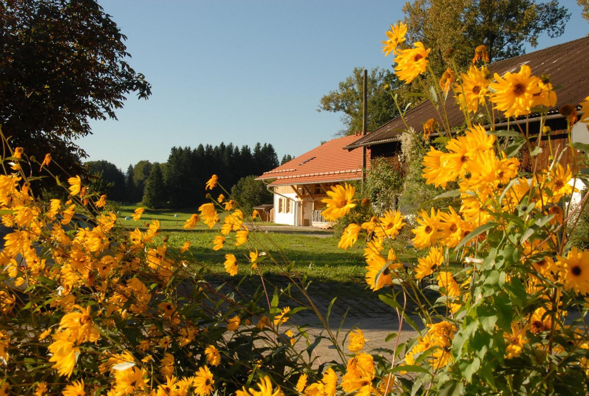 Zweilindenhof Hotel Seeshaupt Exterior photo